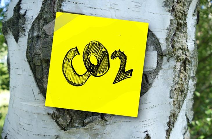 Carbon dioxide incubator