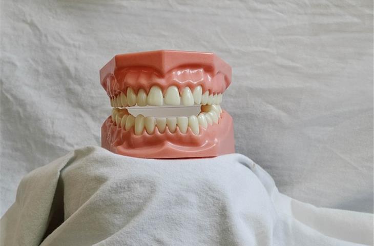 German IBA Digident-P type dental model