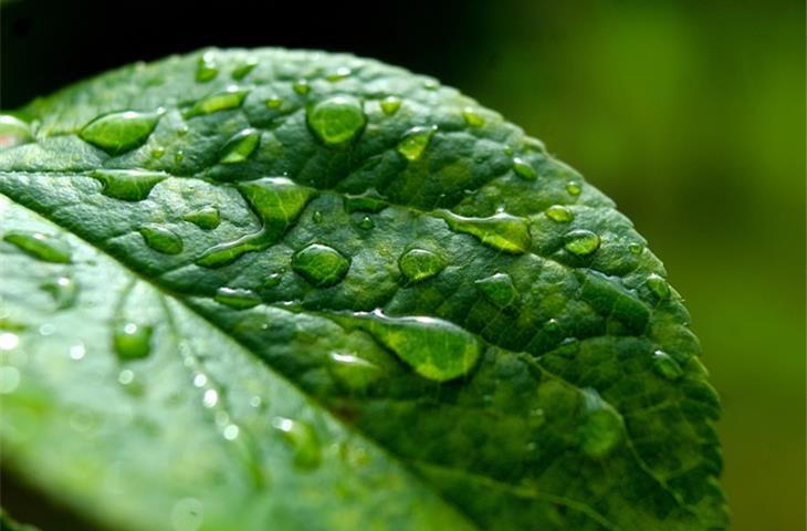 GT1313 UL rain test device
