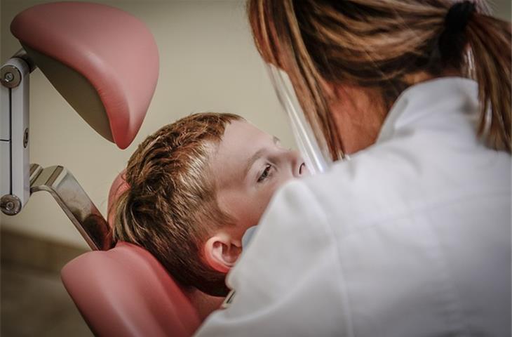 Pehamed dental body model
